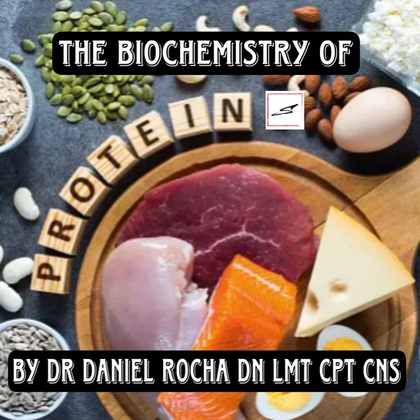 The Biochemistry of Protein