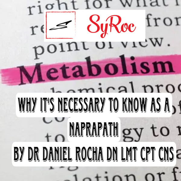 Metabolism: Why it’s necessary to know as a Naprapath!