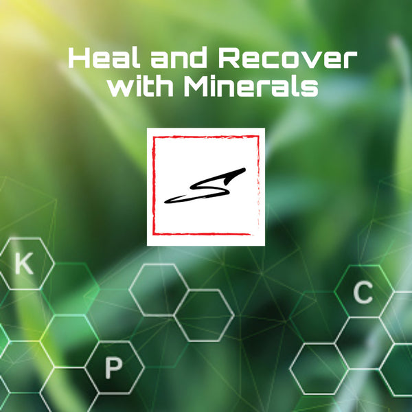 Heal and Recover with Minerals